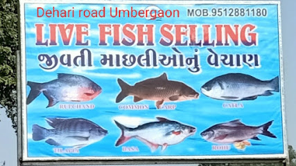 Mahalaxmi live fish market