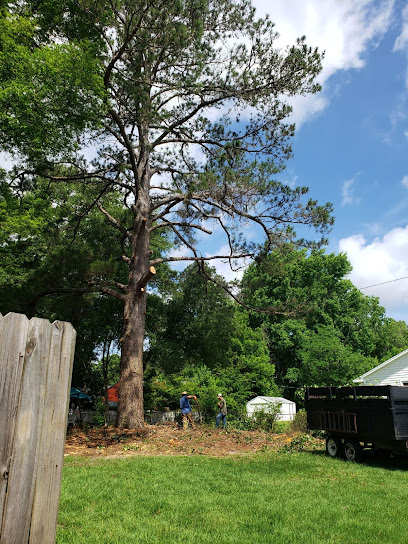 Oak Ridge Tree Service and Landscapes, LLC