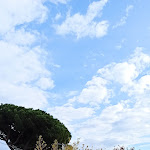 Photo n°12 de l'avis de Analyn.i fait le 28/11/2020 à 14:58 sur le  Ristorante Vietnamita Thien Kim Roof Garden à Rome