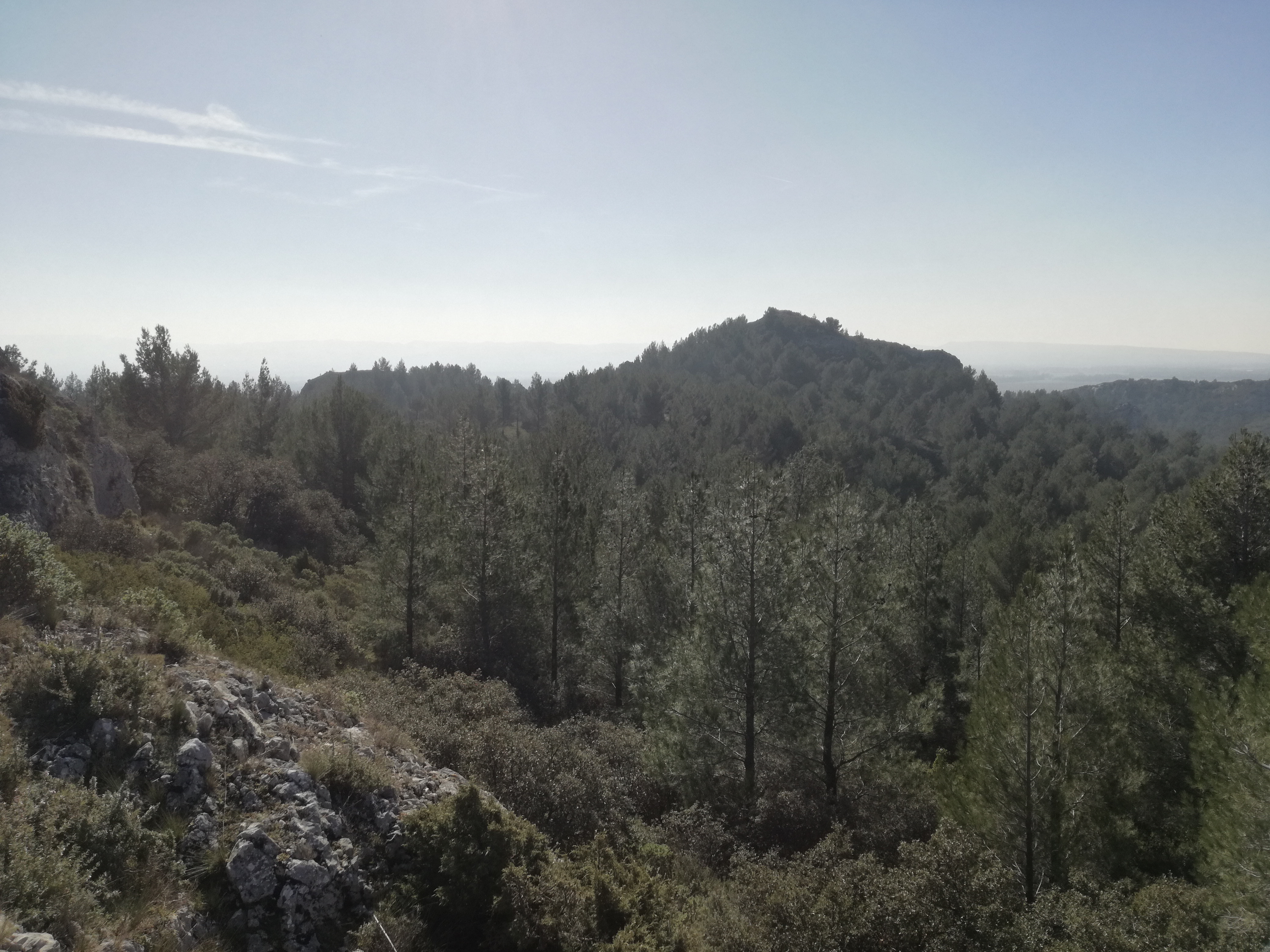 Photo n° 8 de l'avis de Georges.u fait le 23/02/2019 à 13:12