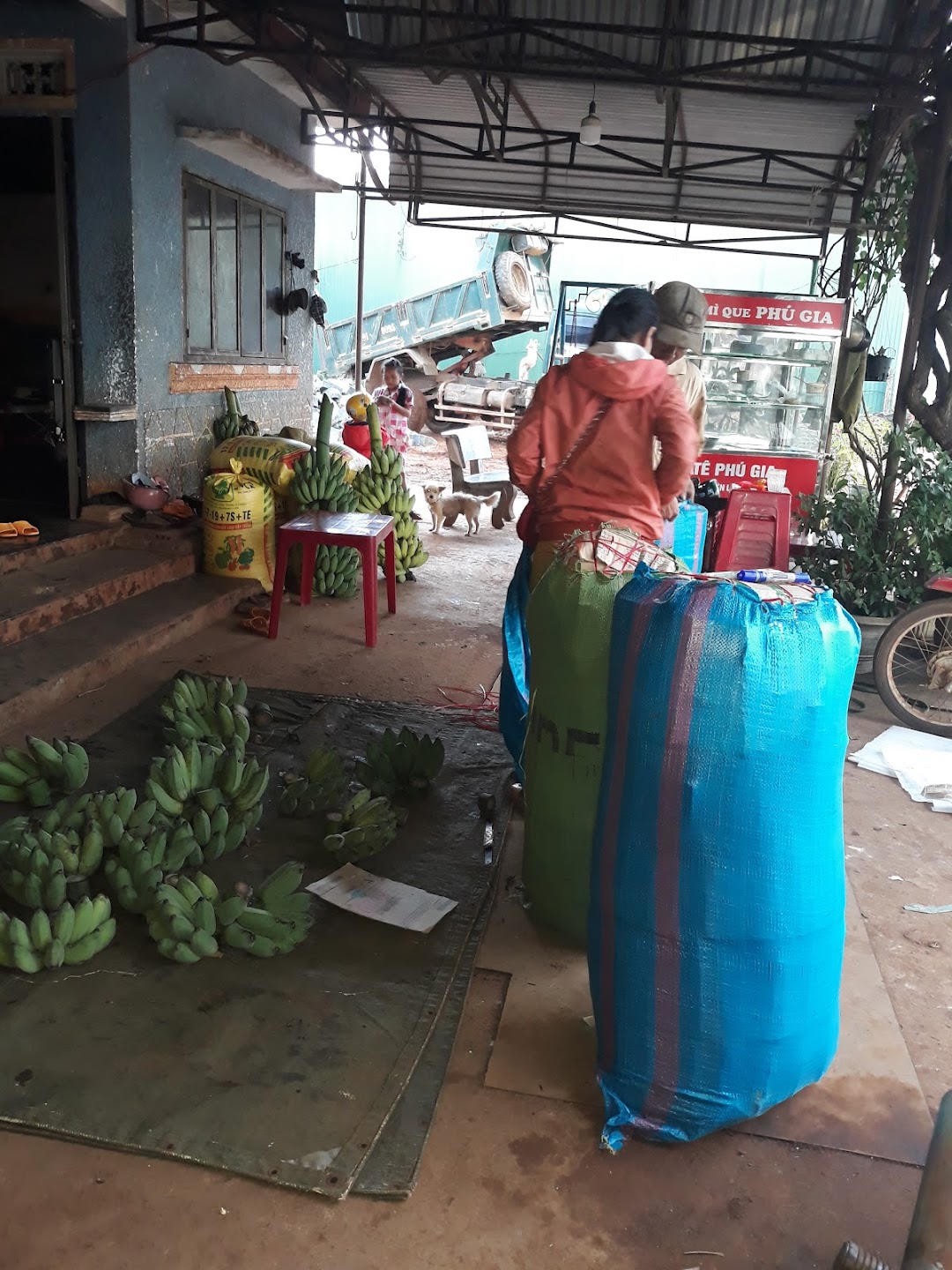 Công trình TT giống thủy sản tỉnh Gia Lai