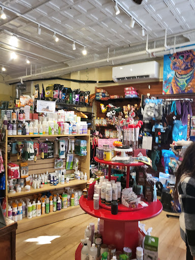 Pet Supply Store «The Dog Store», reviews and photos, 2301 Mt Vernon Ave, Alexandria, VA 22301, USA