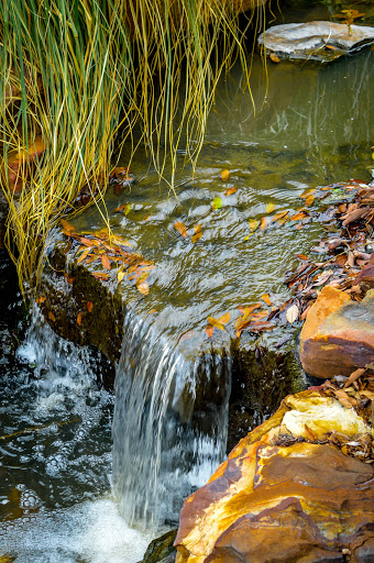 Park «Frisco Central Park», reviews and photos, 3155 Parkwood Blvd, Frisco, TX 75034, USA