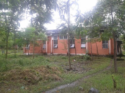 university