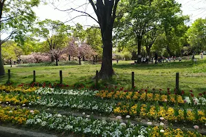 Kamisakabe West Park (Amagasaki City Botanical Garden) image