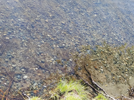 Park «Matthews Beach Park», reviews and photos, 5100 NE 93rd St, Seattle, WA 98115, USA