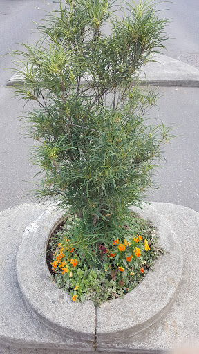 Park «Mill Ends Park», reviews and photos, 56 SW Taylor St, Portland, OR 97204, USA