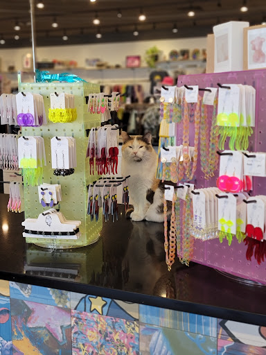 Used Clothing Store «iconoCLAD», reviews and photos, 414 300 S, Salt Lake City, UT 84111, USA