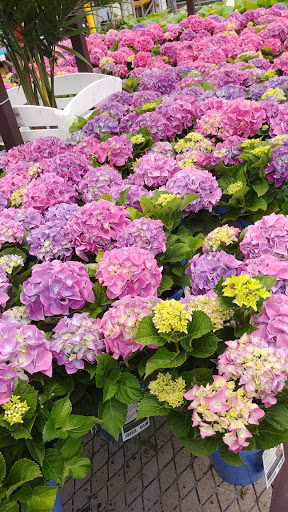 Office Supply Store «Office Depot», reviews and photos, 8678 US Highway 17 Bypass South #2, Myrtle Beach, SC 29588, USA