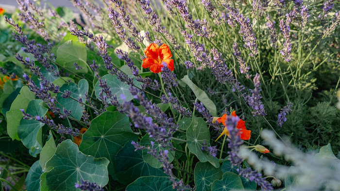 Park near Coach N Four