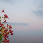 Photo n°2 de l'avis de Simone.� fait le 22/08/2019 à 19:47 sur le  Pizzeria La Gorgonia à Acireale