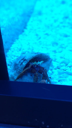 Pet Supply Store «Petco Animal Supplies», reviews and photos, 4491 Kirkwood Hwy, Wilmington, DE 19808, USA