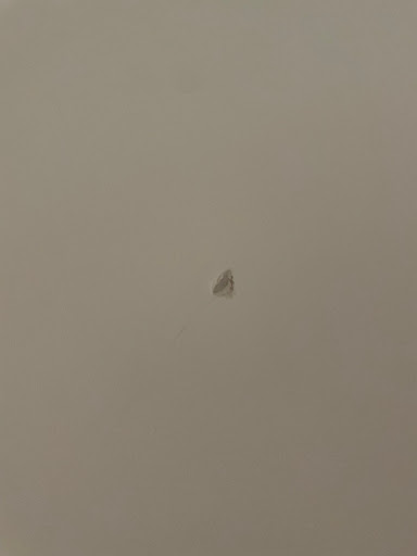 Moving Company «College Hunks Hauling Junk and Moving», reviews and photos, 1595 Sam Rittenberg Blvd, Charleston, SC 29407, USA