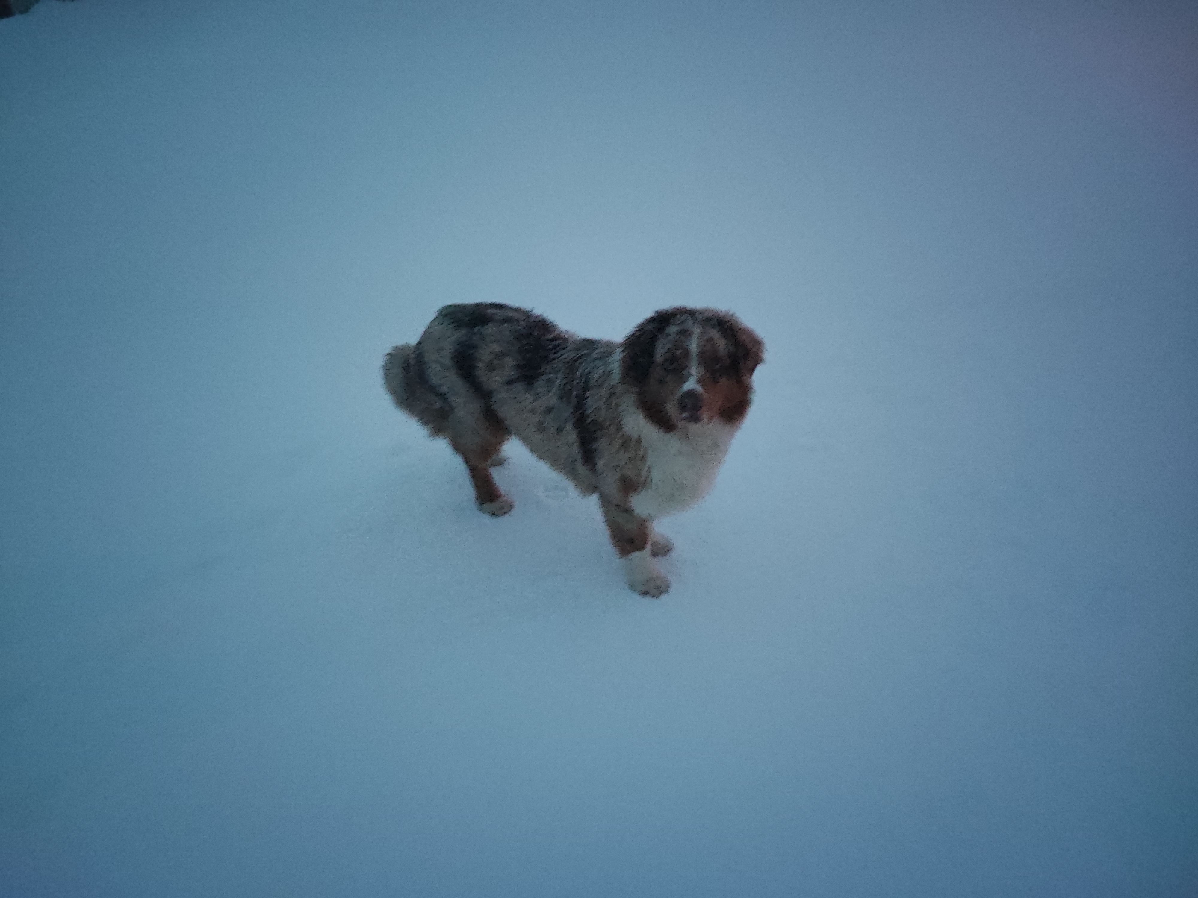 Photo n° 12 de l'avis de Jan.u fait le 10/03/2024 à 10:21