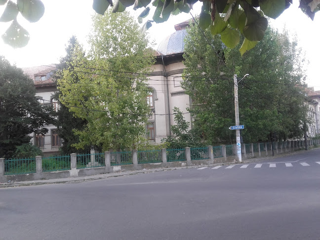 Colegiul Național "Ioniță Asan" - Școală
