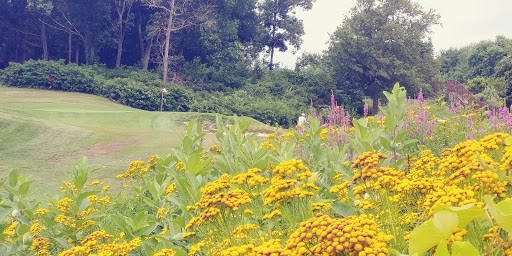 Golf Course «George Wright», reviews and photos, 420 West St, Hyde Park, MA 02136, USA