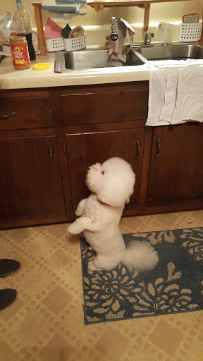 Pet Supply Store «PetSmart», reviews and photos, 1276 Carmia Way, Richmond, VA 23235, USA