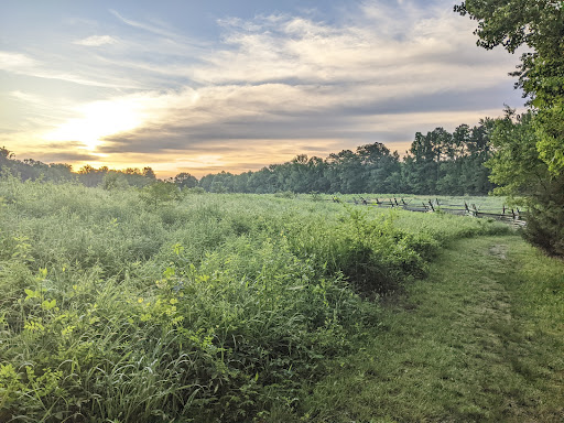 Tourist Attraction «Gaines Mill Battlefield», reviews and photos, 6283 Watt House Rd, Mechanicsville, VA 23111, USA