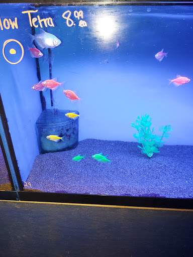 Tropical Fish Store «Tropi-Quatics Pet Center», reviews and photos, 337 S Main St, Lombard, IL 60148, USA
