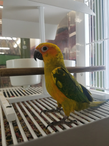 Pet Supply Store «Petco Animal Supplies», reviews and photos, 520 Woodside Rd, Redwood City, CA 94061, USA