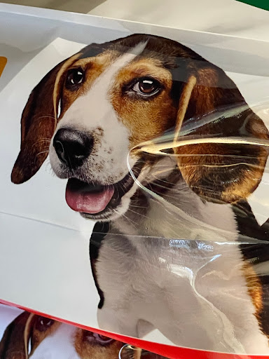 Pet Supply Store «Petco Animal Supplies», reviews and photos, 5994 Montana Ave, El Paso, TX 79925, USA