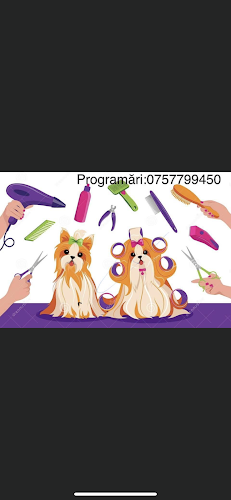 Royal Pet -Salon frizerie si cosmetica canina Piatra Neamt - <nil>
