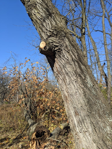 Learning Center «Sagawau Environmental Learning Center», reviews and photos, 12545 111th St, Lemont, IL 60439, USA