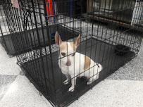 Petco - Photo 6 - Car repair in Las Vegas, NV, Las Vegas