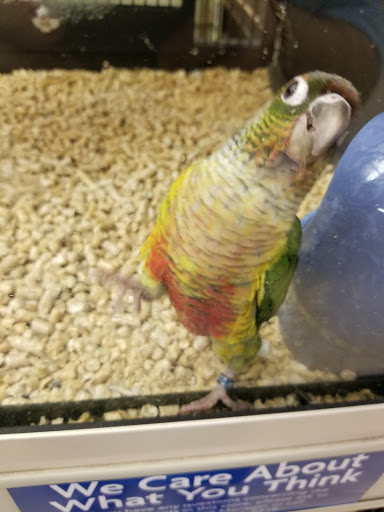 Pet Supply Store «PetSmart», reviews and photos, 1919 Wells Rd, Orange Park, FL 32073, USA