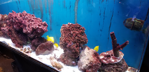 Tropical Fish Store «Two Turtles Pet Center», reviews and photos, 760 W Market St, Akron, OH 44303, USA