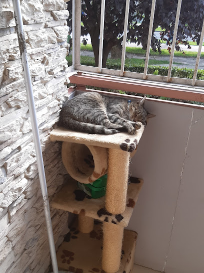 Lecznica weterynaryjna s.c.