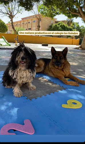 Asociación Canina Coín