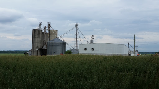 Moore's Seed & Grain Farms Inc