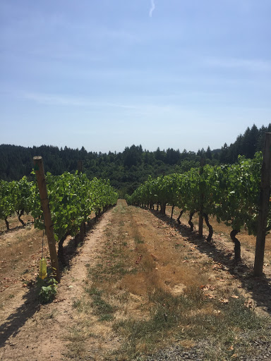 Winery «Kramer Vineyards», reviews and photos, 26830 NW Olson Rd, Gaston, OR 97119, USA