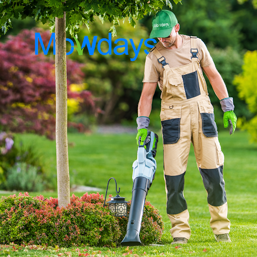 Mowdays Lawn Care Services