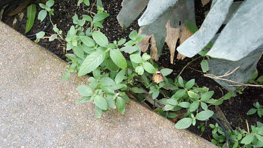 Animal Protection Organization «Butterfly Pavilion», reviews and photos, 6252 W 104th Ave, Westminster, CO 80020, USA