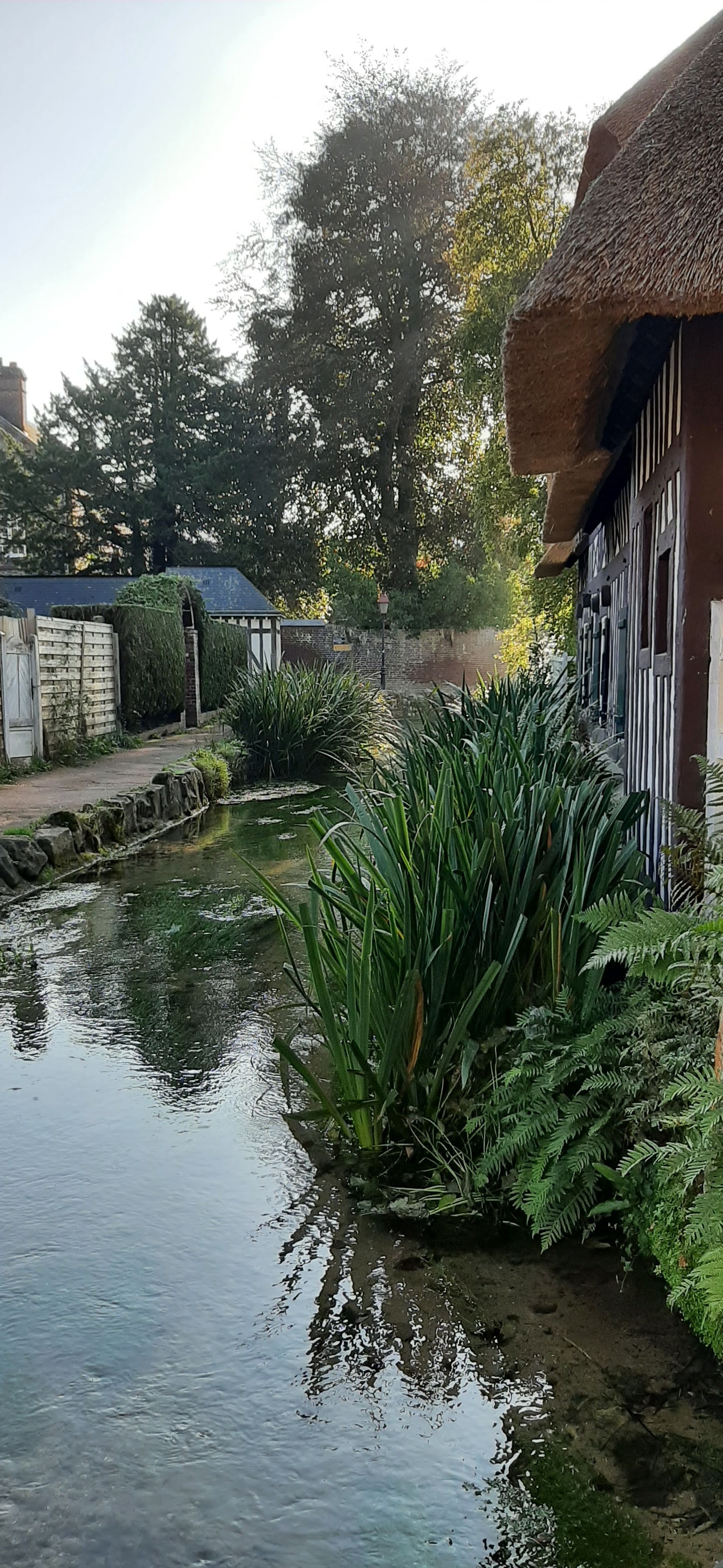 Photo n° 8 de l'avis de Christiane.a fait le 16/10/2021 à 05:10