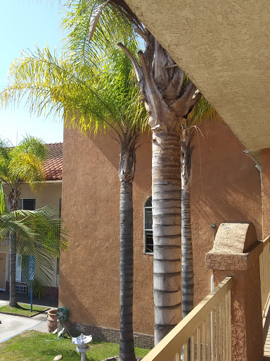 Days Inn & Suites by Wyndham South Gate image