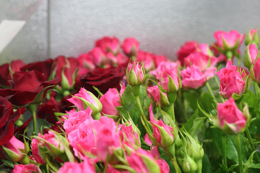 Florist «Ah Sam Florist», reviews and photos, 2645 S El Camino Real, San Mateo, CA 94403, USA