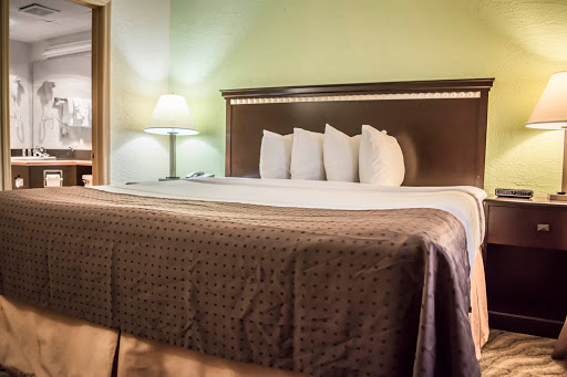 Hotel «Quality Inn & Suites Tampa - Brandon near Casino», reviews and photos, 10007 Princess Palm Ave, Tampa, FL 33619, USA