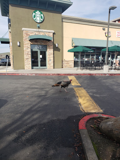Starbucks image