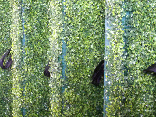 Party Equipment Rental Service «Town & Country Event Rentals», reviews and photos, 7725 Airport Business Park Way, Van Nuys, CA 91406, USA