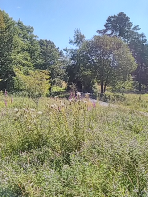 Photo n° 15 de l'avis de Francis.u fait le 19/08/2021 à 18:02
