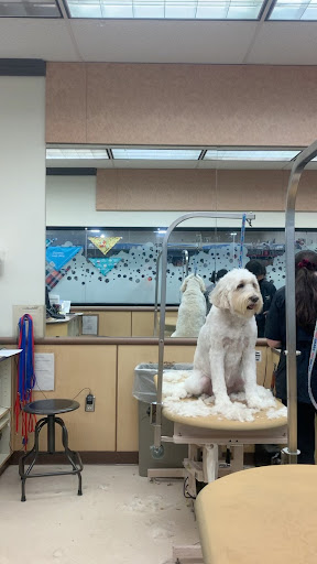 Pet Supply Store «PetSmart», reviews and photos, 1050 McKinley Pl Dr #30, San Marcos, TX 78666, USA