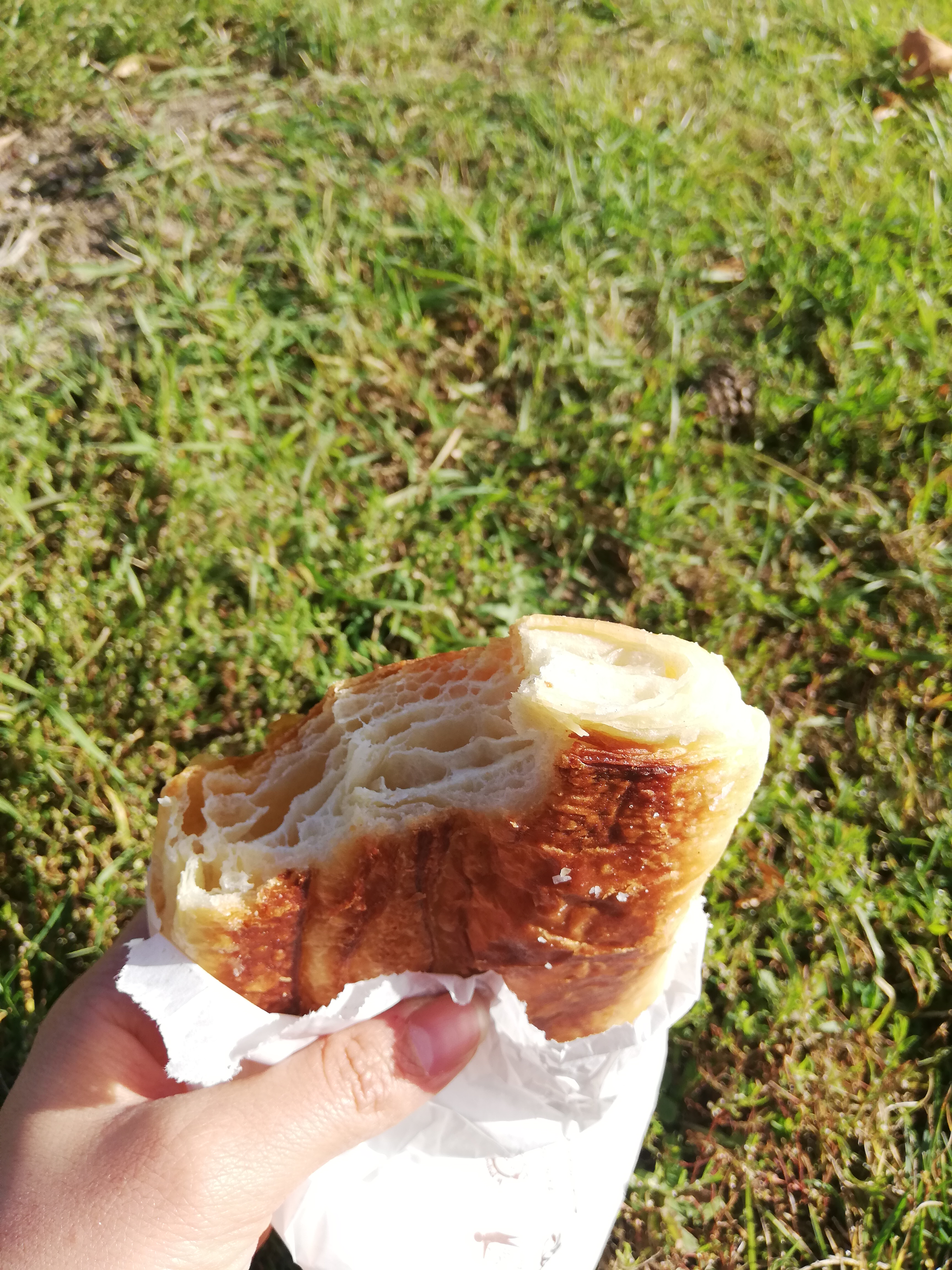 Photo n° 2 de l'avis de H... fait le 27/10/2021 à 14:27