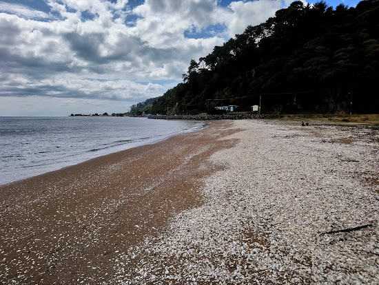 Kuranui Bay