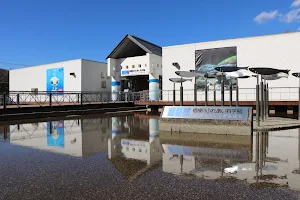 Aquarium Sagamihara image