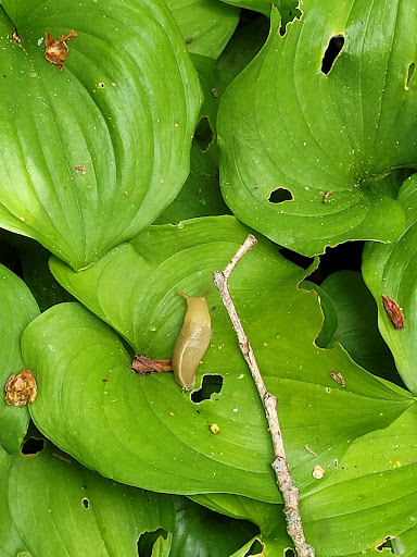 Park «West Hylebos Wetlands Park», reviews and photos, 411 S 348th St, Federal Way, WA 98003, USA