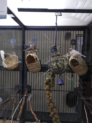 Pet Supply Store «PetSmart», reviews and photos, 7850 W Commercial Blvd, Lauderhill, FL 33351, USA