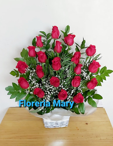 Floreria Mary - Arica